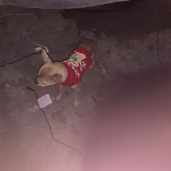 Meet your Posher, Bismarck - Picture 1 of 1